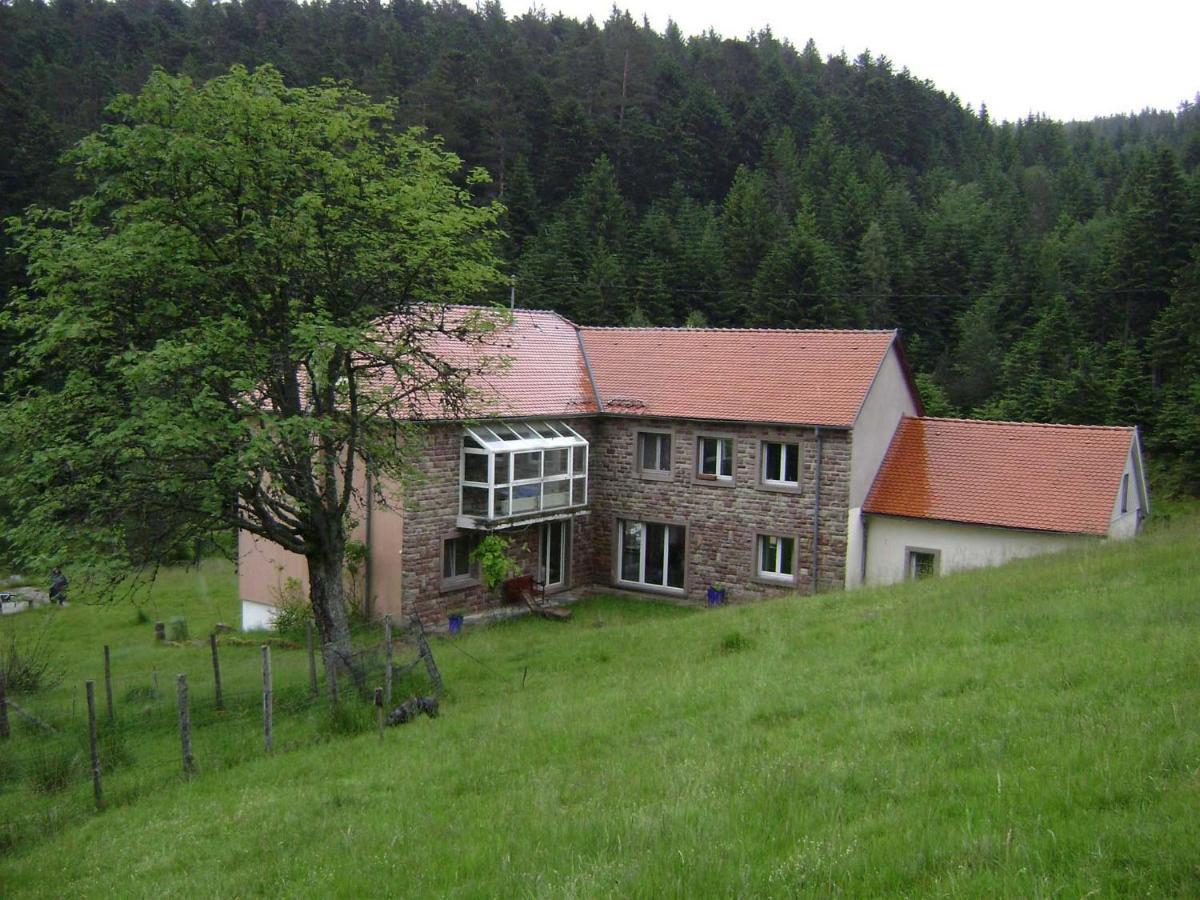 Gite Hansel De La Ferme Du Schneeberg Wangenbourg-Engenthal Екстер'єр фото