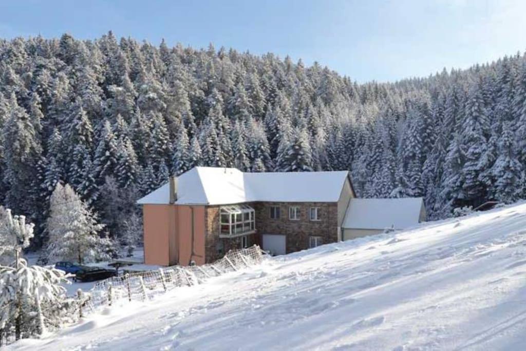 Gite Hansel De La Ferme Du Schneeberg Wangenbourg-Engenthal Екстер'єр фото
